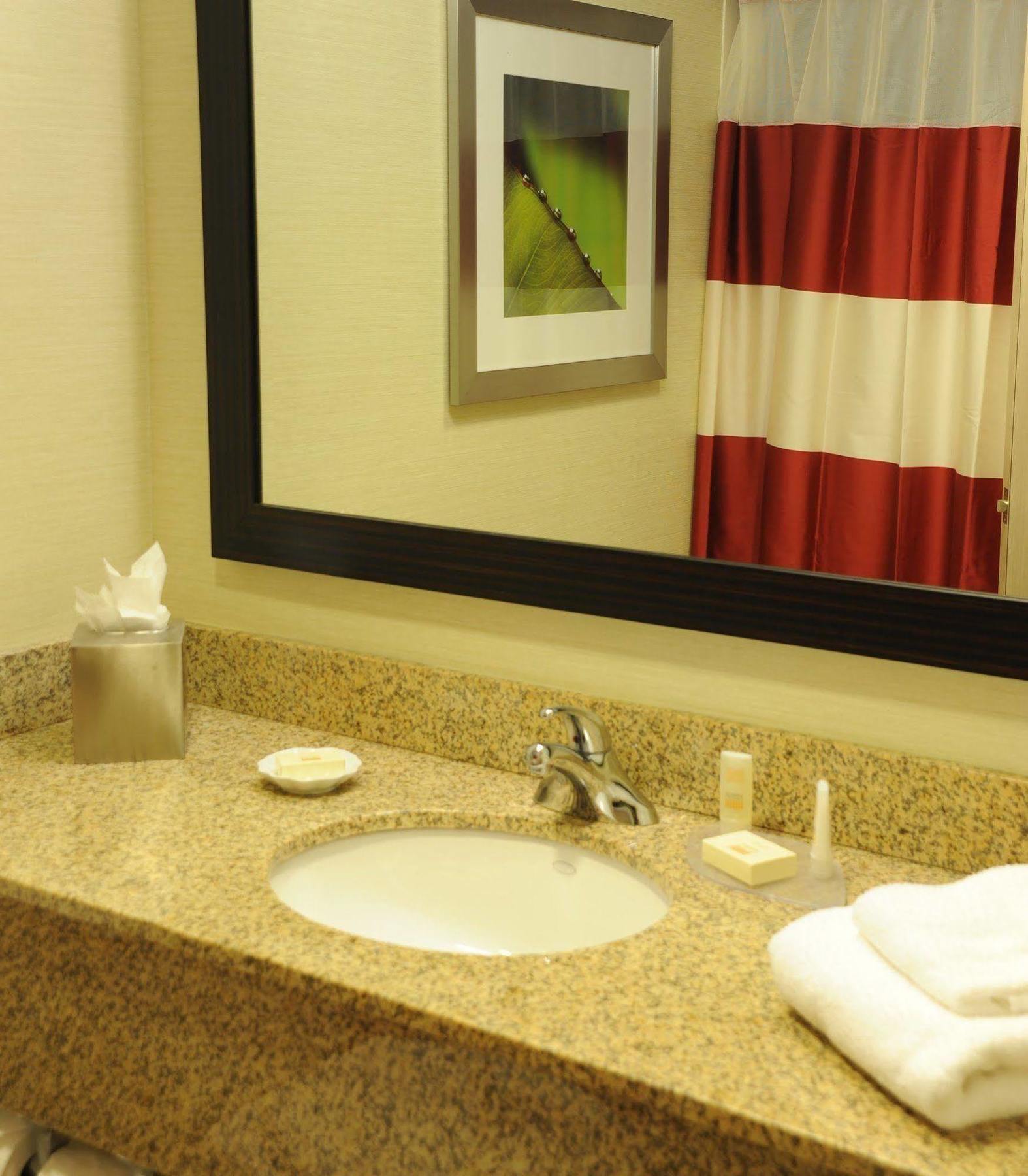 Fairfield Inn & Suites By Marriott Albany Airport Dış mekan fotoğraf